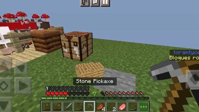 Furries Can Play Minecraft Too!