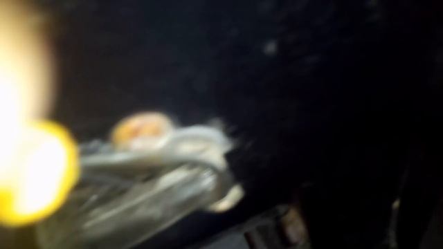 Замерзли замки дверей. Что делать? смотреть онлайн