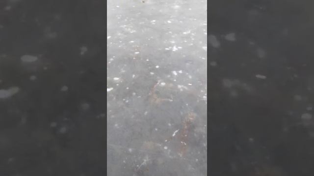 хожу по первому льду смотреть онлайн