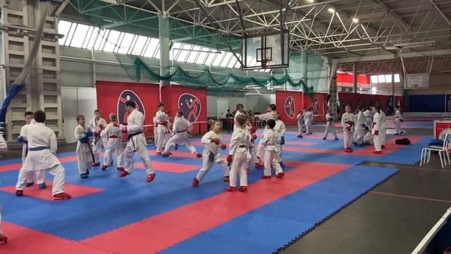За день до соревнований. Семинар каратэ WKF Ихтибар Ахмедов смотреть онлайн