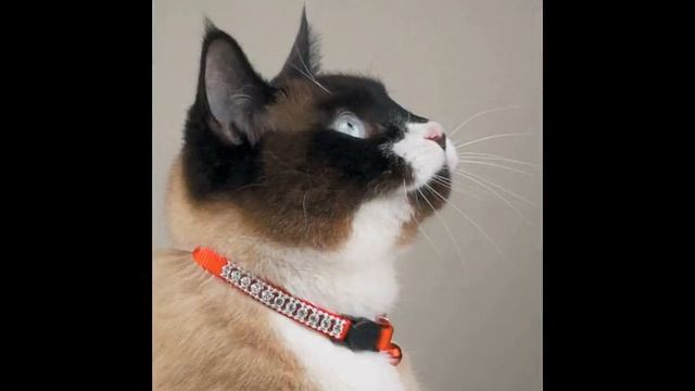 Магия бисера