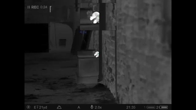 RATS! Pulsar Thermion 2 XP50 Pro смотреть онлайн