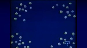 Знаменитая детская программа "Спокойной ночи, малыши"