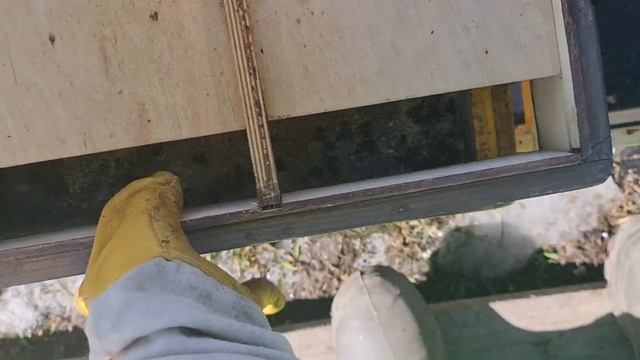 Облет пчёл и первые весенние работы на пасеке. смотреть онлайн