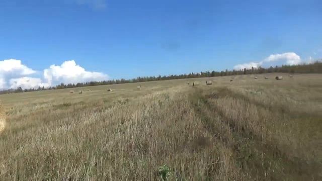 солома в тюках смотреть онлайн