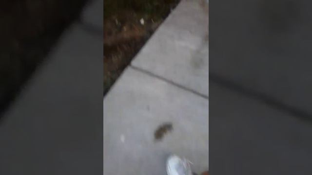 Out of my mind 2 смотреть онлайн