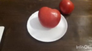 Томат Яша Югославский. Обзор, дегустация
