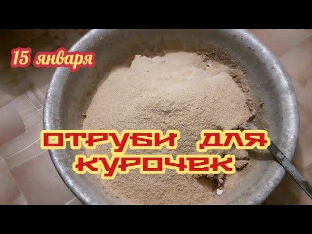 Отруби с перловой кашей - хорошая мешанка для моих курочек... смотреть онлайн