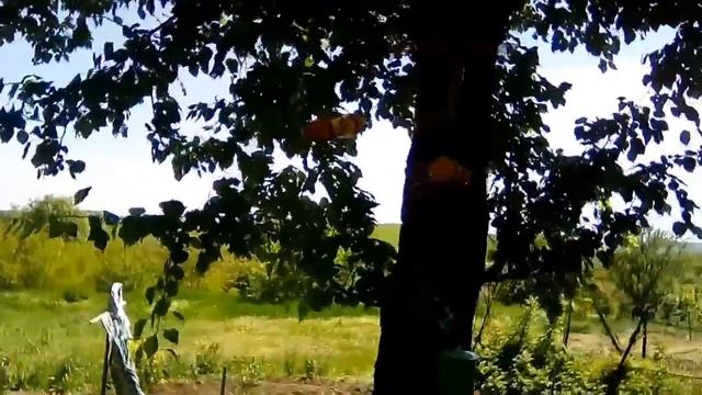Подделки в сад смотреть онлайн