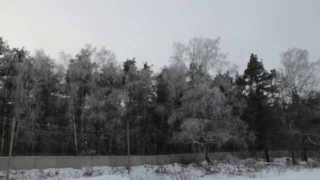 Рабочие будни с Камышовым котом Василием?️?Видео снималось на фотоаппарат canon g9x mark 2 смотреть онлайн