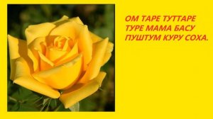 Слушайте и процветайте! Мантра Желтой Тары на богатство.