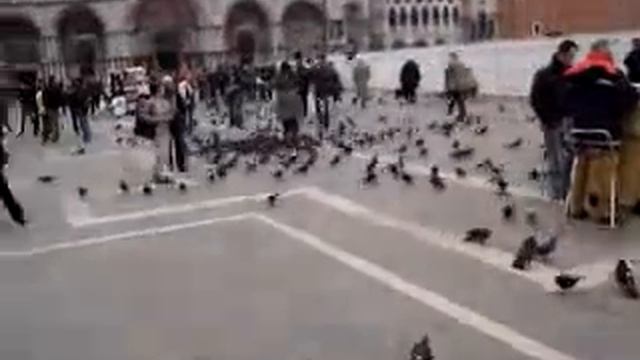 Италия. Венеция. Площадь Сан-Марко. смотреть онлайн