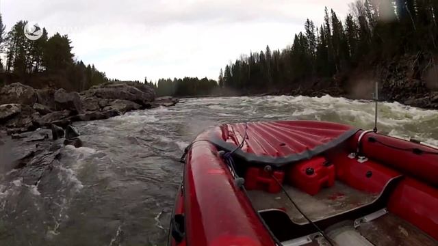 ФРЕГАТ-480 + Tohatsu-50. Река Казыр. Как не надо проходить порог! смотреть онлайн