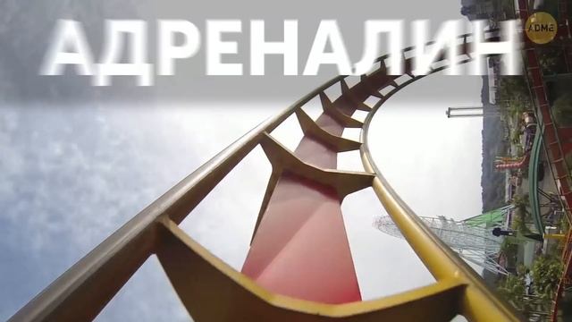 10 простых психологических хитростей, которые всегда срабатывают смотреть онлайн