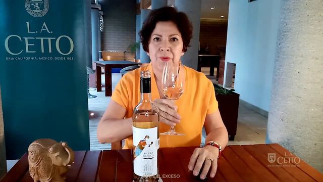 Catas contigo presenta: Zinfandel Rosé con Griselda Márquez смотреть онлайн