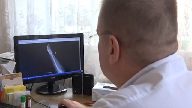 Поздравление 23 февраля смотреть онлайн