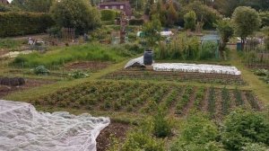 Дача в Англии !!