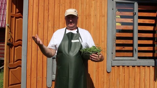 ПРАВИЛЬНАЯ ТРАВА ДЛЯ КУР! смотреть онлайн