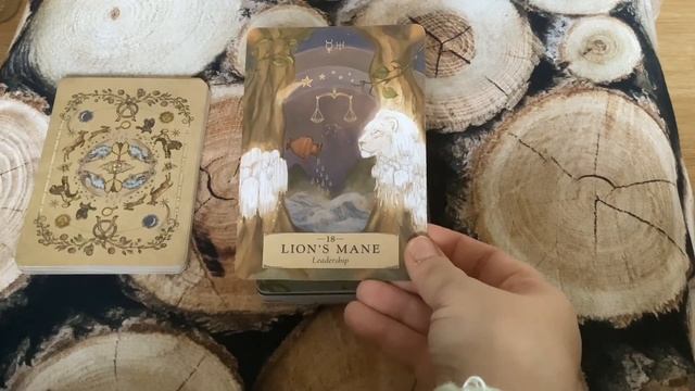 The Herbal Astrology Oracle ~ Walkthrough смотреть онлайн