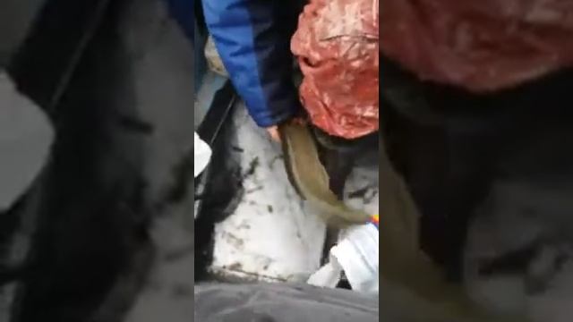 Рыбалка в селе Ольшанское смотреть онлайн