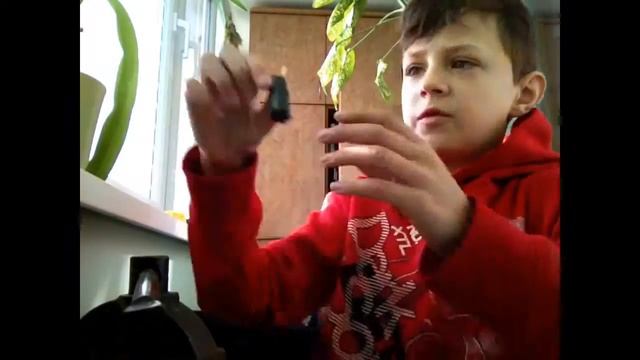 Астматик ператехники