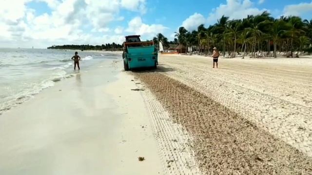 Мексиканский вояж ???? отель 