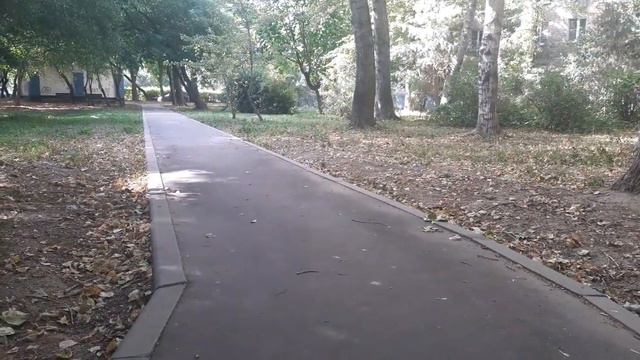 Акула прячется за деревом !) смотреть онлайн