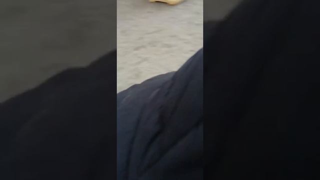 Годзилла против Конга§ ¦повторение смотреть онлайн