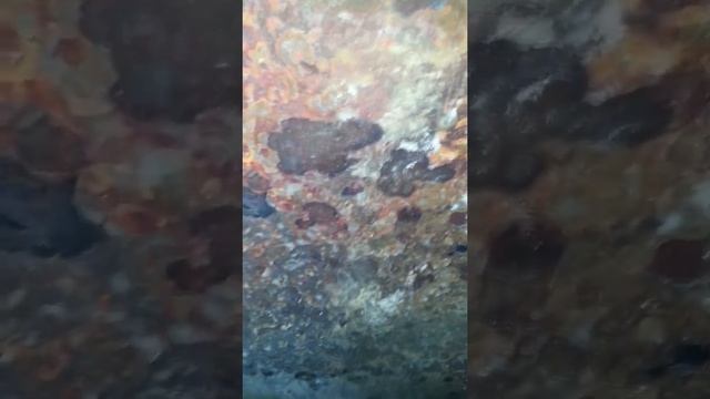 Топка Харвия Легенд 300 смотреть онлайн