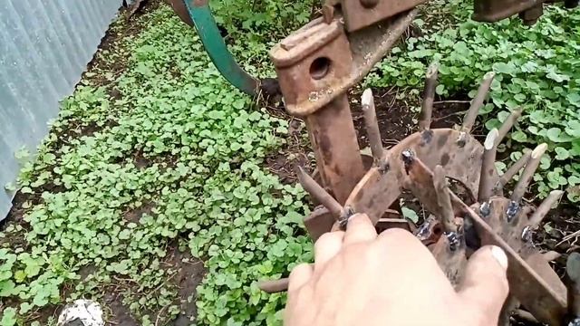 Всходы картошки2021. Самодельные Ежи для прополки картофеля. смотреть онлайн