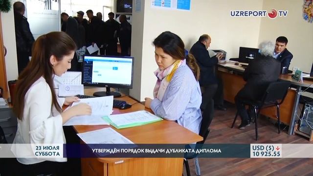 Утверждён порядок выдачи дубликата диплома смотреть онлайн