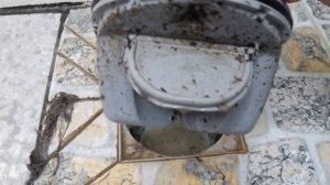 Как прочистить душевой трап! Как устранить засор душевого трапа?