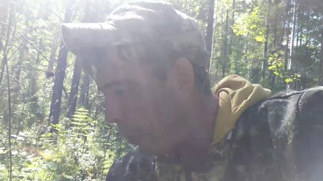 Ягода Брусника 2021. смотреть онлайн