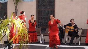 Flamenco Performances by Rina Orellana | Alegrias con Manton
