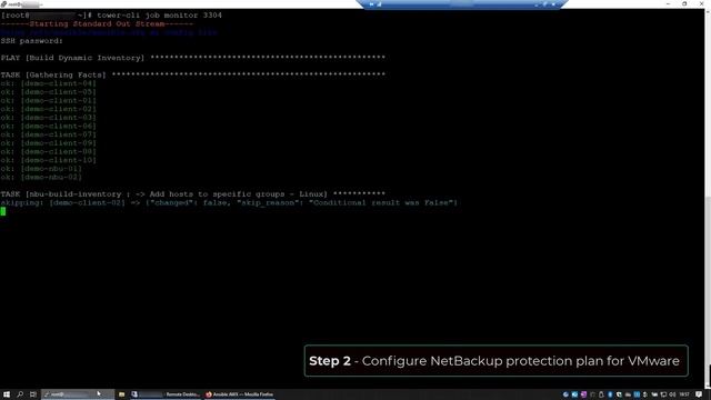 Using Veritas NetBackup APIs for automation and protection смотреть онлайн