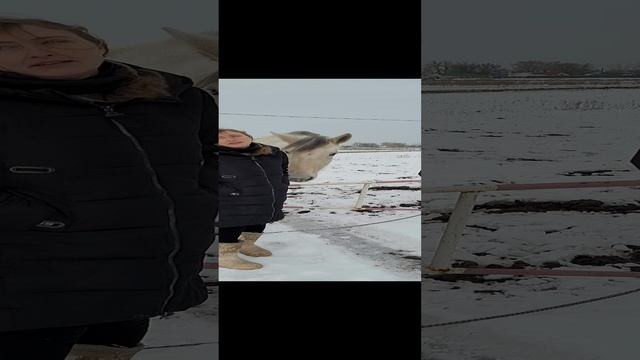 Снимаем репортаж об уникальном проекте "Магия свободы"!
Подробности скоро;-) смотреть онлайн