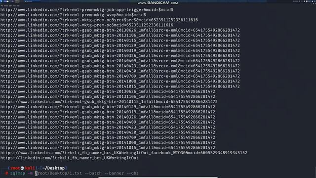 Mass Hunting of SQL Injection's смотреть онлайн