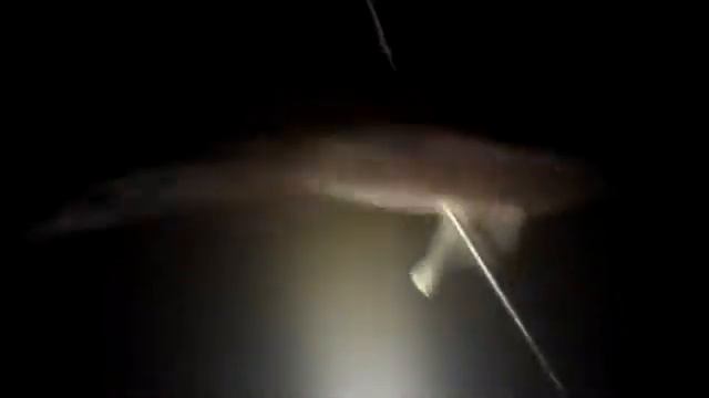 Подводная рыбалка. Темно ни к черту! но рыбка класс смотреть онлайн