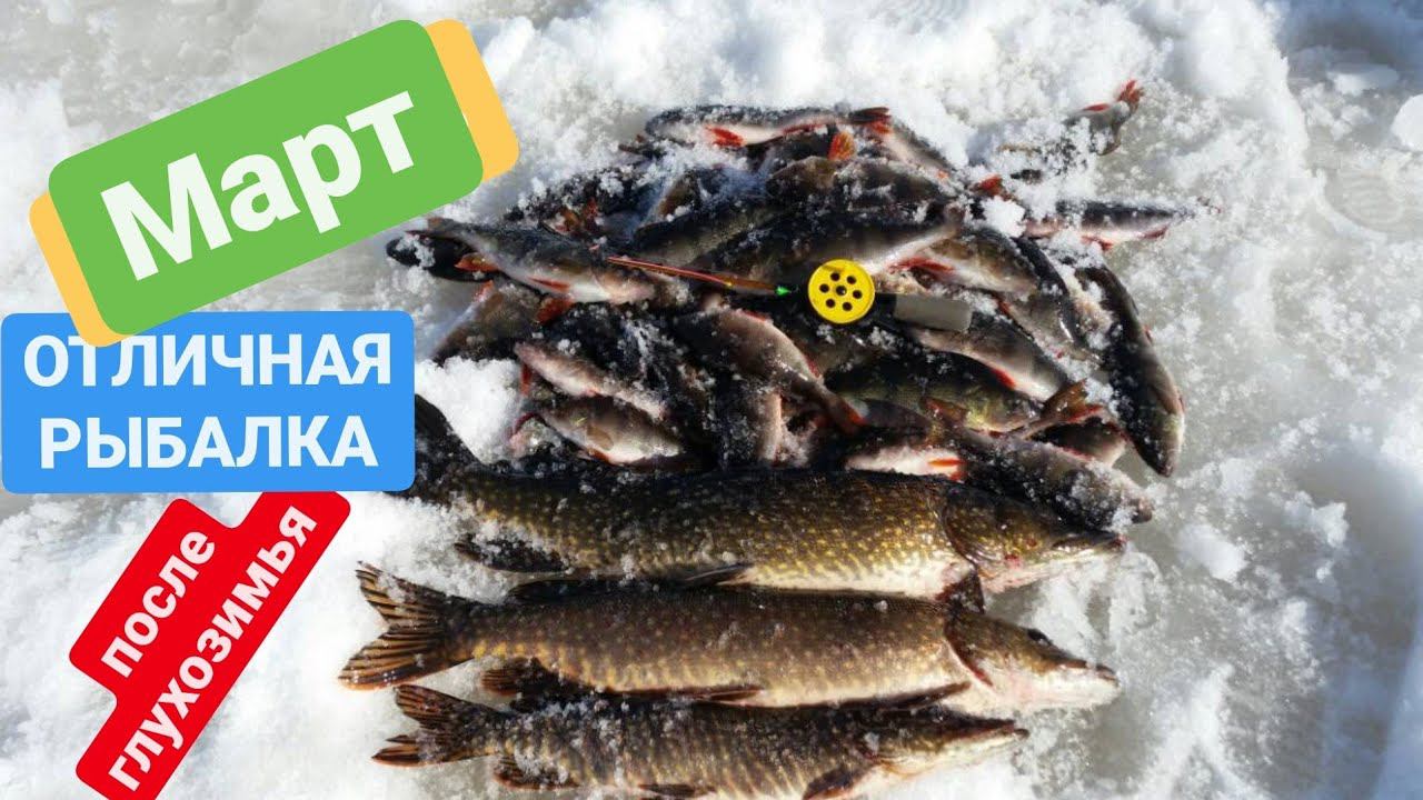 Отличная рыбалка после глухозимья . ХМАО-Югра Белоярский. озеро Горбатое. смотреть онлайн