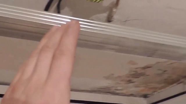 Как обшить потолок пластиковой вагонкой смотреть онлайн