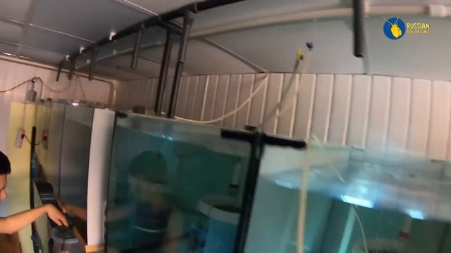 Запуск третьей системы смотреть онлайн