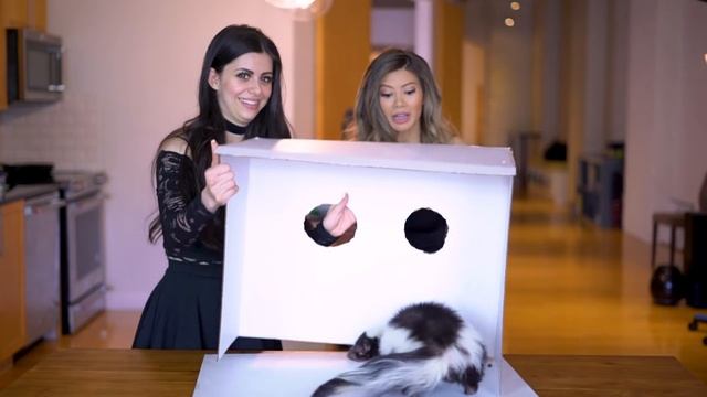 WHAT'S IN THE BOX CHALLENGE (FREAK OUT) with Azzyland! смотреть онлайн