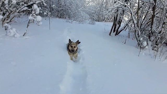 По неизведанной тропинке неизвестно куда Незамерзшая река у очистных сооружений смотреть онлайн