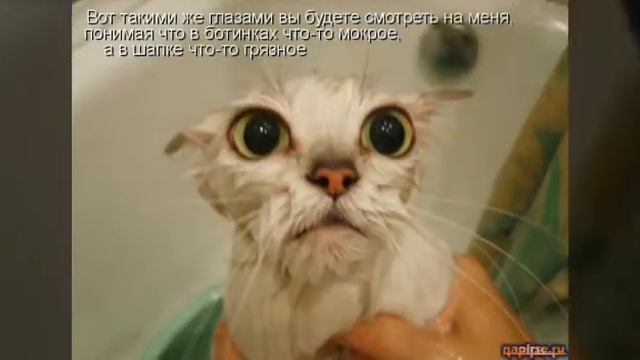 Приколы в картинках часть 3 смотреть онлайн