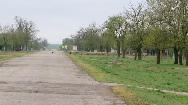 Новый ФАП в Раздольненском районе Крыма (2016) смотреть онлайн