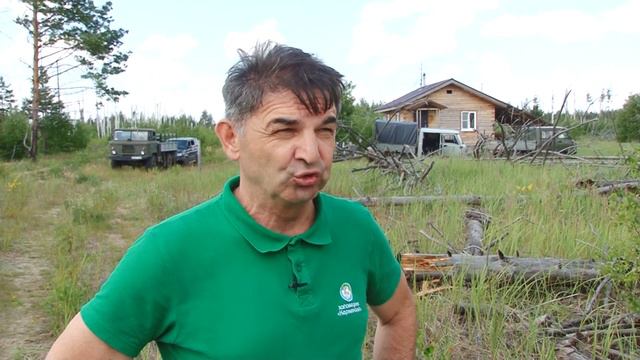 Медведи на свободе смотреть онлайн