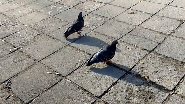 Егорьевск смотреть онлайн