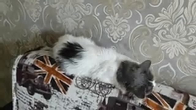 планирую бюджет на месяц | все снова не по плану | vlog 15.06.2023 смотреть онлайн