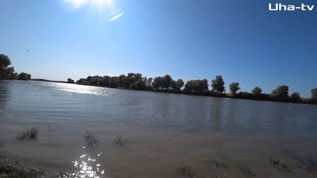 Рыбалка 28.09.2020. Рыбалка в Астрахани. Ловля сазана, жереха, щуки смотреть онлайн