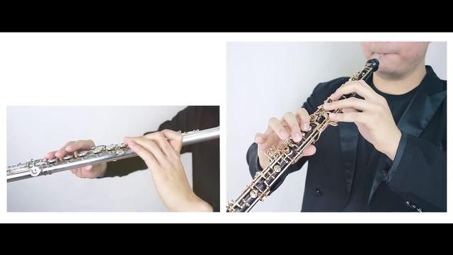 Legend of Zelda塞尔达传说OST_Great Fairy Fountain (Harp, violin, oboe, flute Cover ) смотреть онлайн